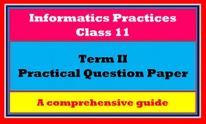 Class 11 IP Term 2 Practical Paper 2022 – Comprehensive Guide - TutorialAICSIP