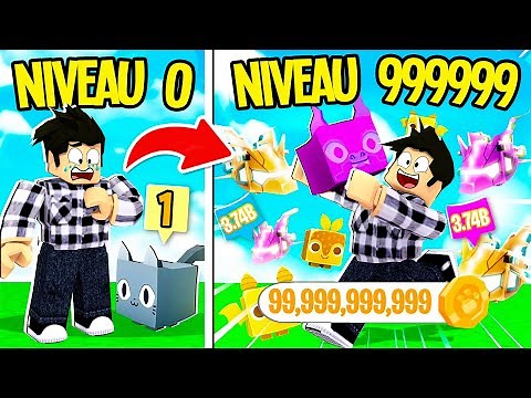 Je deviens n°1 dans Pet Simulator X avec le MEILLEUR ANIMAL DE COMPAGNIE