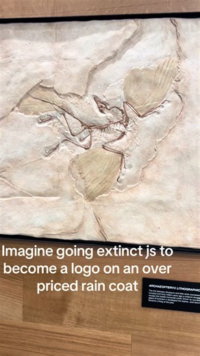 R we serious#arcteryx #fyp#viral #hello #raincoat | arcteryx