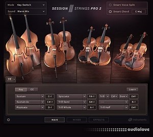 Native Instruments Session Strings Pro 2 v1.0.2 KONTAKT