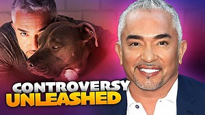 Major Dog Whisperer Controversies We Couldn't Ignore