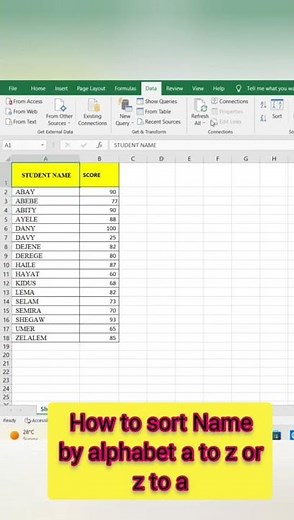 How to sort Alphabetically in excel