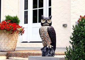 Rotating Head Owl Decoy - 18" Natural Enemy Lifelike Fake 360° Scarecrow Bird