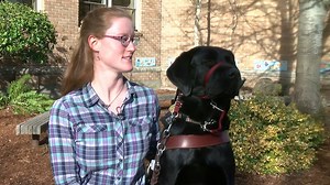 19K views · 239 reactions | Meet Nabisco and George. Two PPS employees at Llewellyn School, who encourage the students with a wag of a tail. Service dogs are now making a difference for educators and students at many schools. | Portland Public Schools | Facebook
