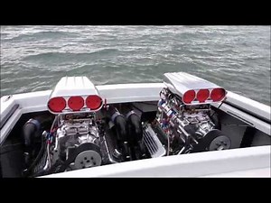 SCARAB ALIVE AND WELL