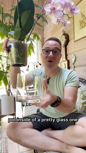 🌿 Can you put your orchid pot inside a glass container?Short answer: Yes.Slightly longer answer: Yes if you don’t cook the roots in too much direct sun or allow water to sit at the bottom for too long.Orchid roots are meant to see the light—literally.They're epiphytes. In nature, their roots cling to trees, fully exposed to light and air. While light to the roots is beneficial for Phalaenopsis, it is NOT 100% necessary.These are the kinds of tiny adjustments that make a big difference—and exact