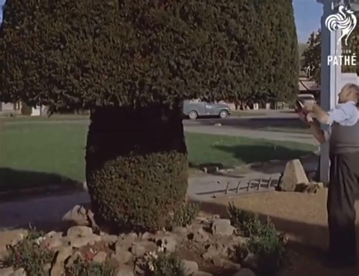 66K views · 1.2K reactions | The village of Broadway in the Cotswolds, in 1962. | Old England in Colour | Facebook