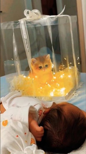 Dad Gifts His Daughter the Cutest Kitten Ever 😻🎁 #trending #cat #shortvideo