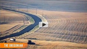 GMOs Are a Grand Experiment on Health, Environment (Op-Ed)