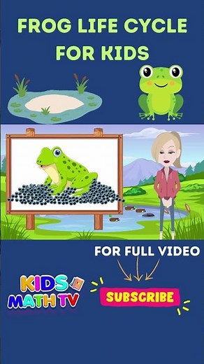 Life Cycle of a Frog Video for Kindergarten | Tadpole To Frog | Life Cycle Of A Frog For Kids