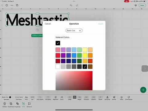 How to Label a Box with Cricut (No Sticker Paper Needed!)