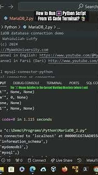 How to Run 🎆 Python Script From VS Code Terminal? 📚
