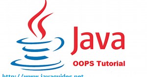 Object Oriented Programming in Java with Examples