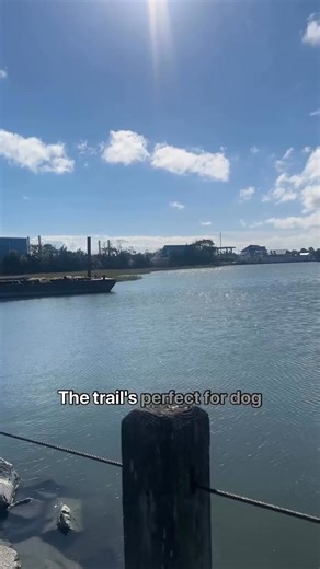 Spend your day in and around the Delaware Seashore State Park! Take a leisure walk, bird watch, or just take in the serene views. #delawareseashore #bethanybeach #trail #burtonisland 8m | Big Chill Beach Club