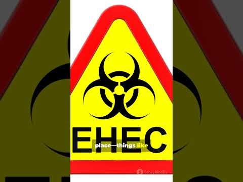 5 Steps of Risk Assessment (NEBOSH Approach)