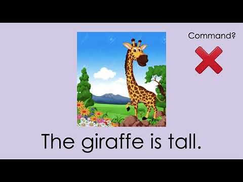 command sentence for 1st grade