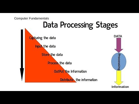 Data Processing | Data Processing stages