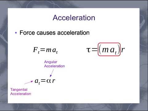 Torque and Angular Acceleration