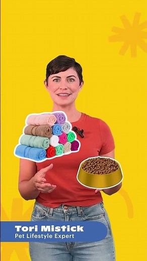 Bored Dog Inside? Try These Indoor Games