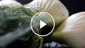 Cutting Up Fennel
