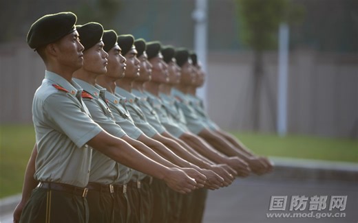陆军队列训练展示
