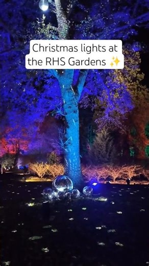 Christmas lights at the RHS Gardens - Get a glimpse of RHS Glow ✨️ #RHS #christmastree