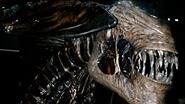 ALIEN 4 Queen Building the Queen ALIEN RESURRECTION