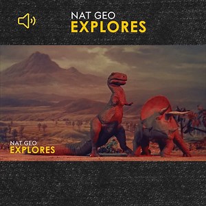 264K views · 1.6K reactions | Dinosaurs ruled the world for roughly 140 million years—until they suddenly disappeared. https://on.natgeo.com/2ZQ3OfP | National Geographic | Facebook