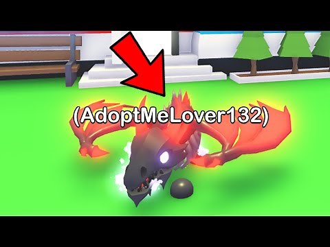 I put my PASSWORD as my Adopt Me pet name..