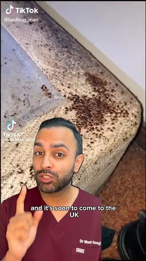 How To Get Rid Of Bed Bugs - Fast! Dr Somji Explains