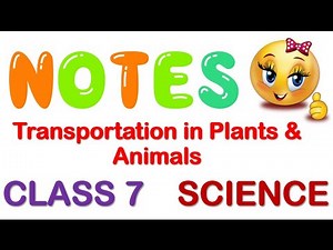 Transportation in Plants & Animals Full Chapter Class 7 | NCERT Science Class 7 Chapter 11 | CBSE