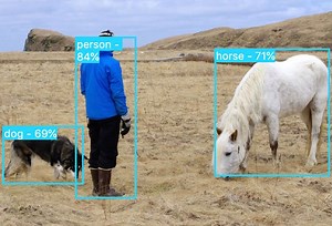 Real-time Object Detection in Flutter