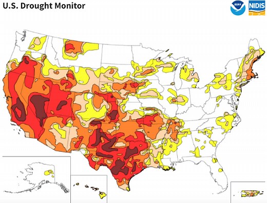 Droughts are getting worse around the world, here’s why and what needs to be done