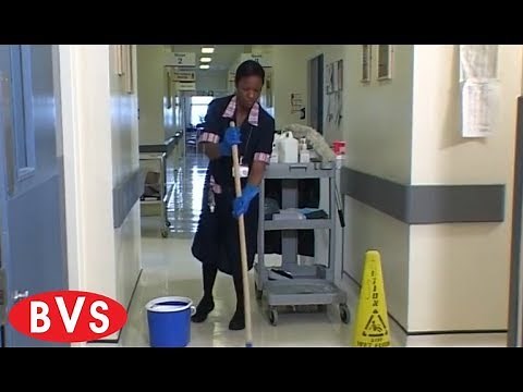 Infection Control for Domestics - BVS Training