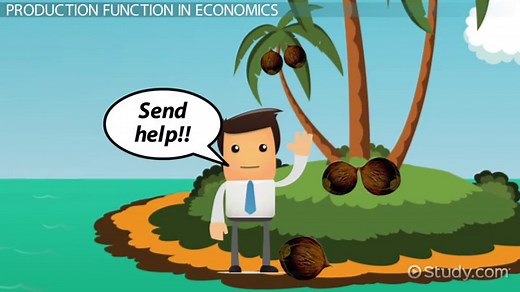 Production Function | Formula, Examples & Graph