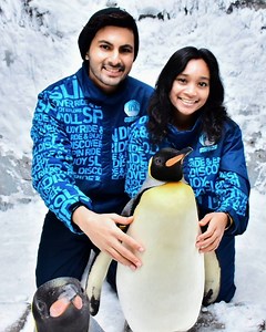 Get up and close with penguins, carve a snowman and ski down a slope. Where you ask? Ski Dubai, of course! Ready when you are… #VisitDubai | Visit Dubai