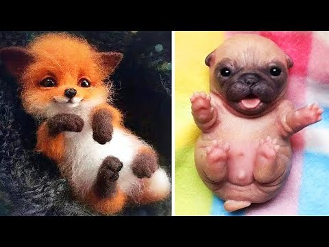 AWW Animals SOO Cute! Cute baby animals Videos Compilation cute moment of the animals #15