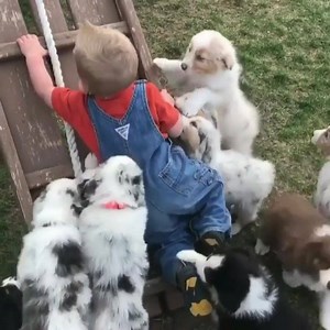 Trying to code when chat's open | Freecodecamp