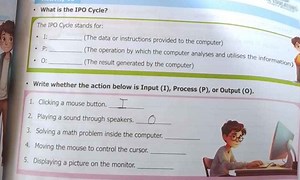 What is the IPO Cycle?The IPO Cycle stands for:I: _ (The da... | Filo