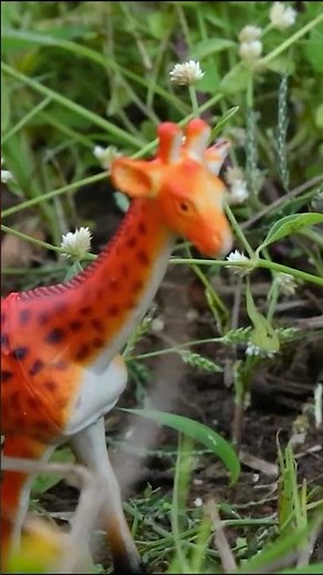 Miniature Animals | Tiny Cooking | Mini Food Cooking #shorts