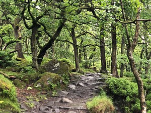 Amazing Train Station Walk Padley Gorge and Surprise View (4.5 miles) 4.5 Miles