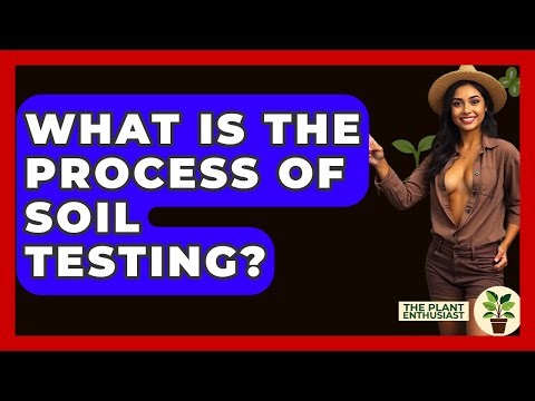 What Is The Process Of Soil Testing? - The Plant Enthusiast