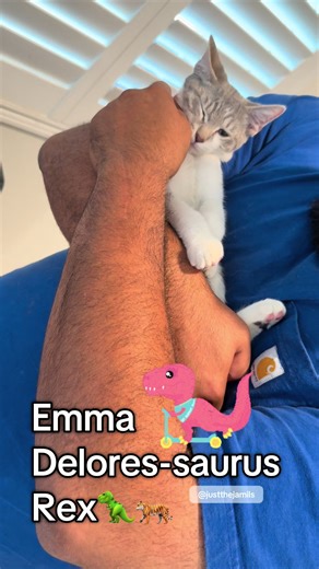 Emma Delores-saurus Rex: A Fun Character Adventure