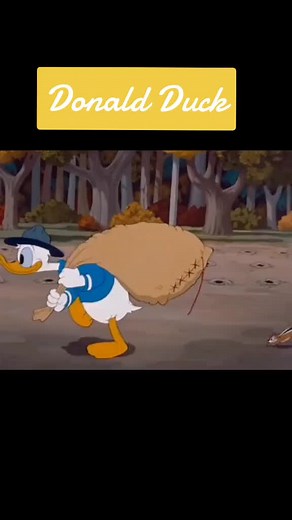 Classic Disney Donald Duck Cartoons for Kids