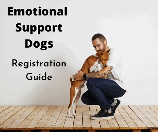 How To Register An Emotional Support Dog In Australia - gentledogtrainers.com.au