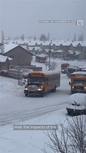 909K views · 4.8K reactions | The first big snowfall of the season hit Calgary hard: over 185 collisions and widespread flight delays. ❄️✈️ The Weather Network's Connor O’Donovan reports on the full impact. https://ow.ly/JEt150XxBH4 | The Weather Network | Facebook