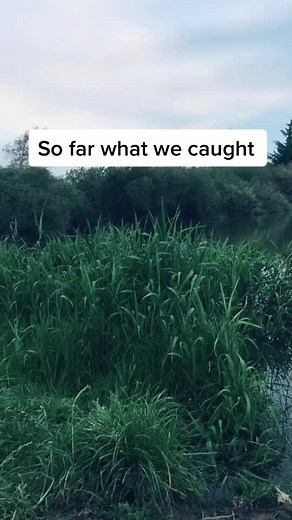 Fishing with friends on TikTok