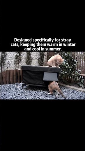 The Best Outdoor Stray Cat House | Furventi Keeps Cats Safe & Warm!