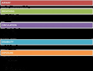 PALS And Pediatric Assessment | American Health Care Academy