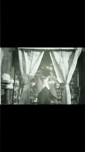 Animal Farm 1954 and 1999 mix short